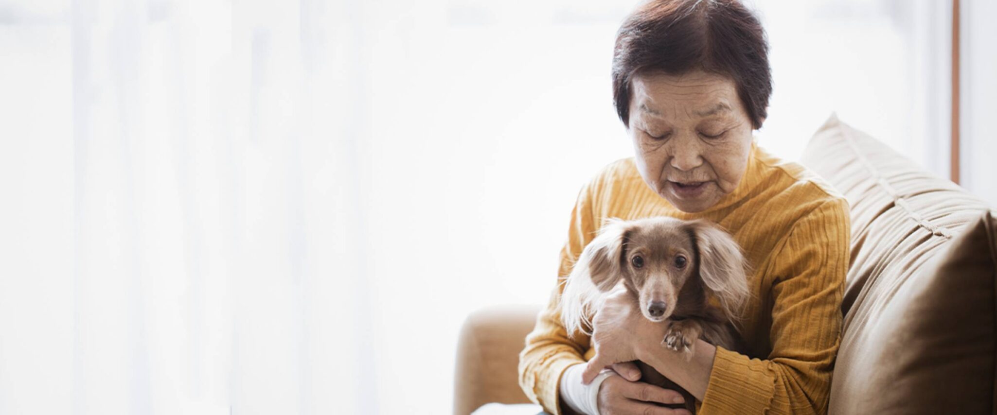 A senior woman holds her small dog on her lap while posing for a photo